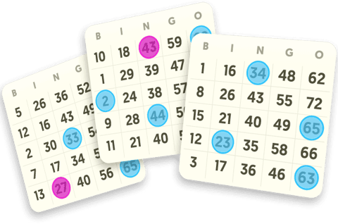 Exclusive Bingo Games Just for You